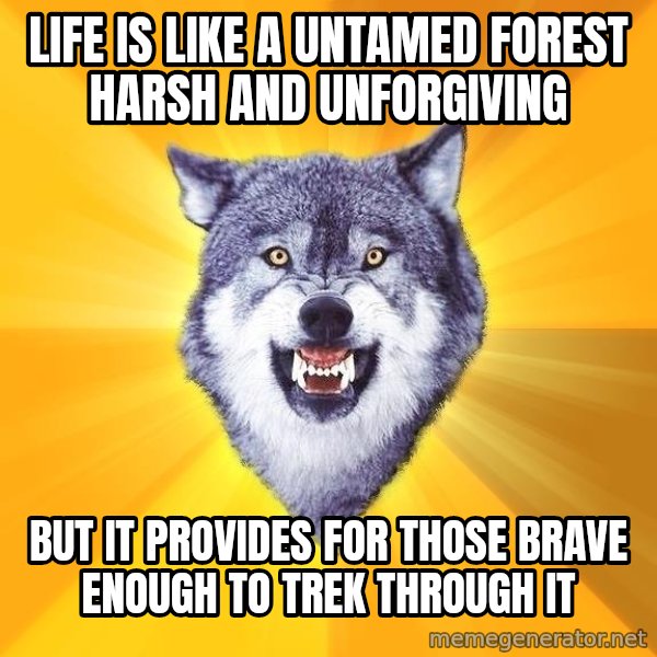 Courage Wolf meme: life is like a untamed forest harsh and unforgiving / but it provides for those brave enough to trek through it