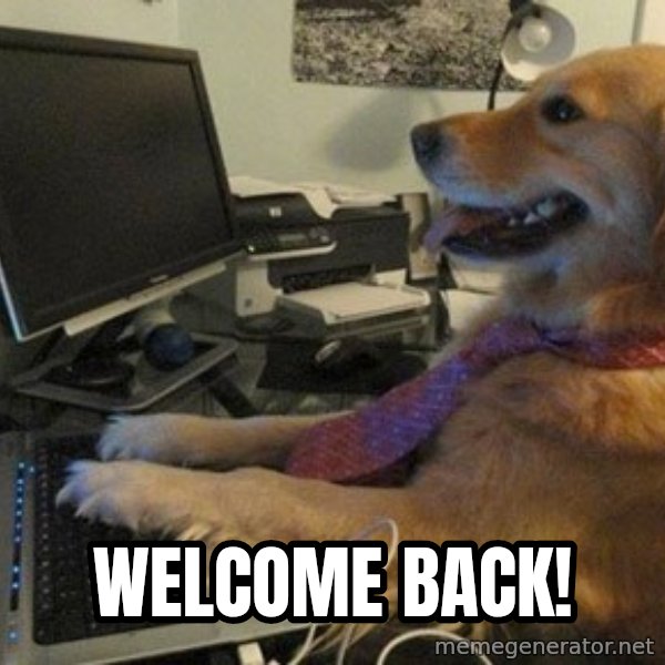 I have no idea what I'm doing - Dog with Tie meme: Welcome Back!