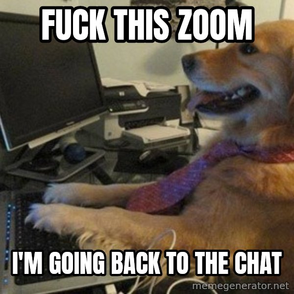 I have no idea what I'm doing - Dog with Tie meme: fuck this zoom / i'm going back to the chat