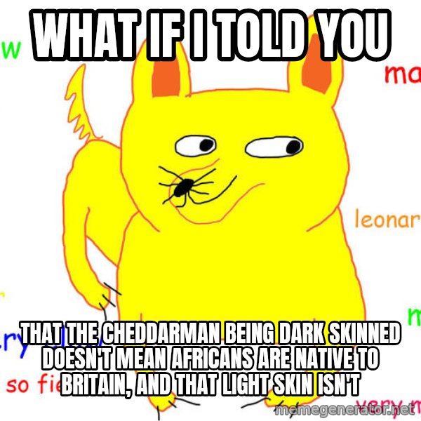 What If I Told You meme: What if I told you / that the cheddarman being dark skinned doesn't mean africans are native to britain, and that light skin isn't