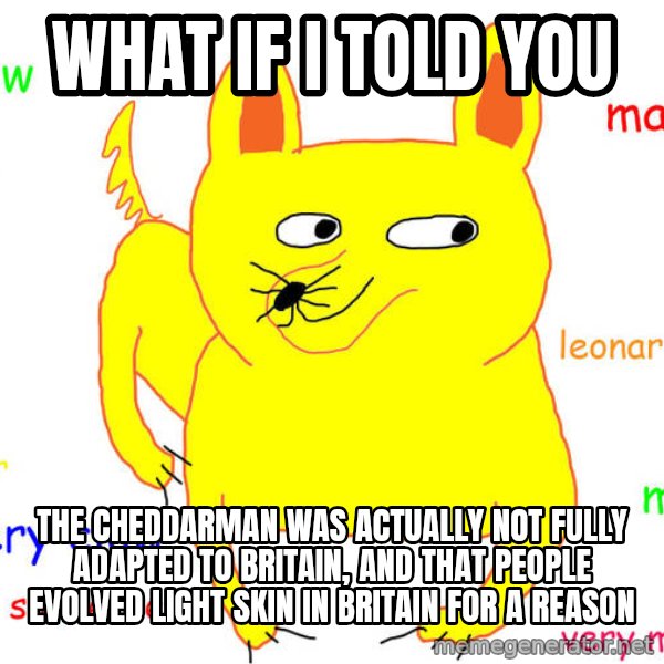 What If I Told You meme: what if I told you / the cheddarman was actually not fully adapted to britain, and that people evolved light skin in britain for a reason