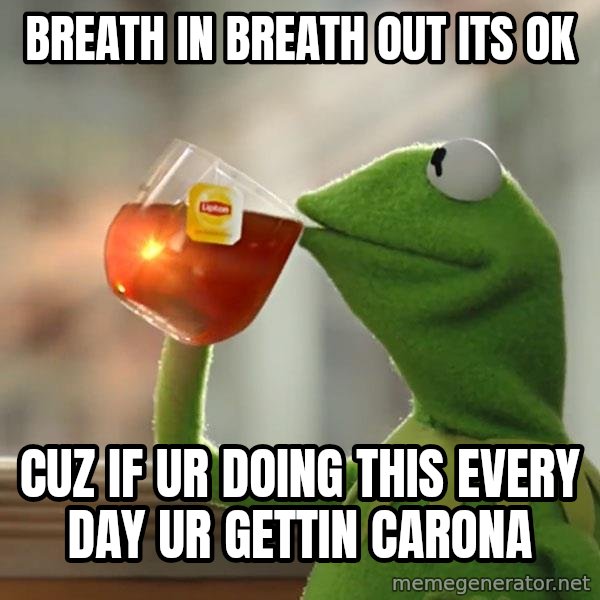 Kermit The Frog Drinking Tea meme: breath in breath out its ok / CUZ IF UR DOING THIS EVERY DAY UR GETTIN CARONA
