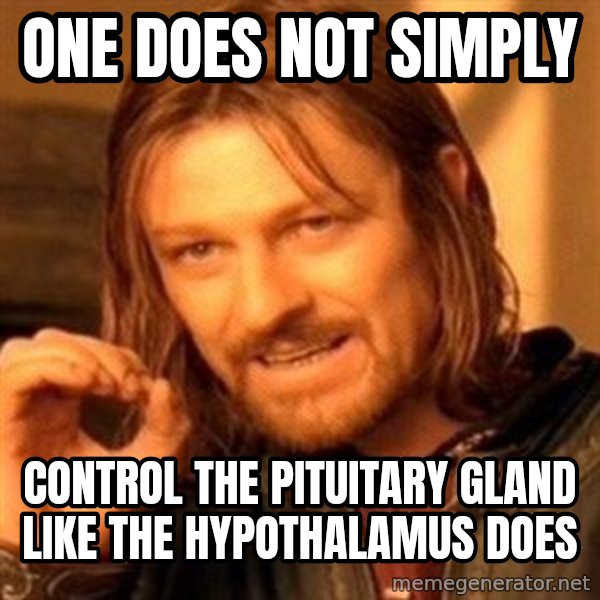 One Does Not Simply meme: one does not simply / control the pituitary gland like the hypothalamus does