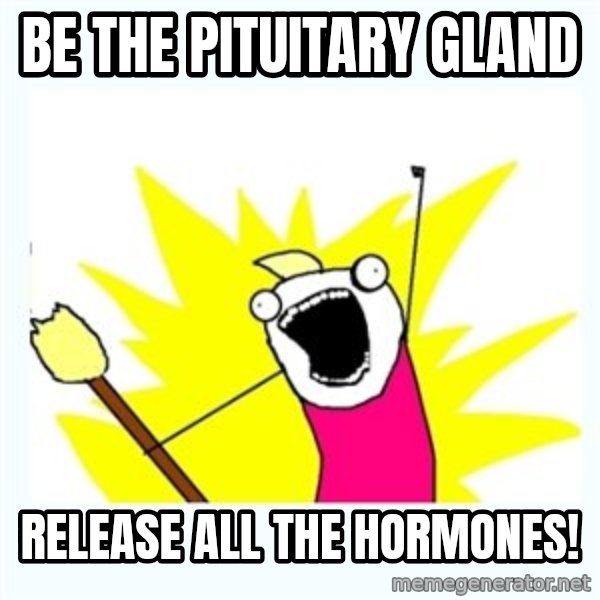 All the things meme: be the pituitary gland / release all the hormones!