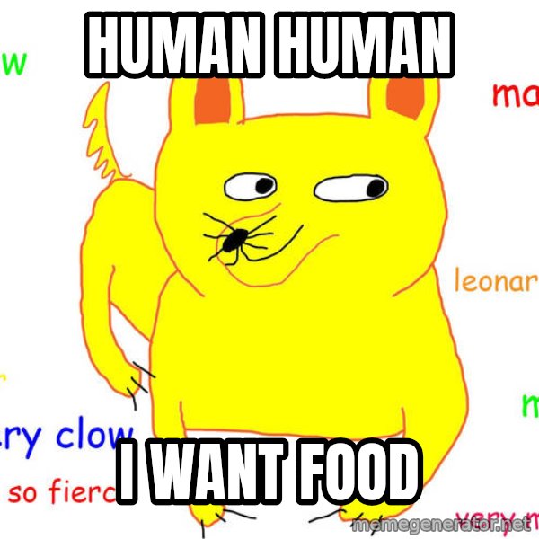 Grumpy Cat  meme: Human human / I want food
