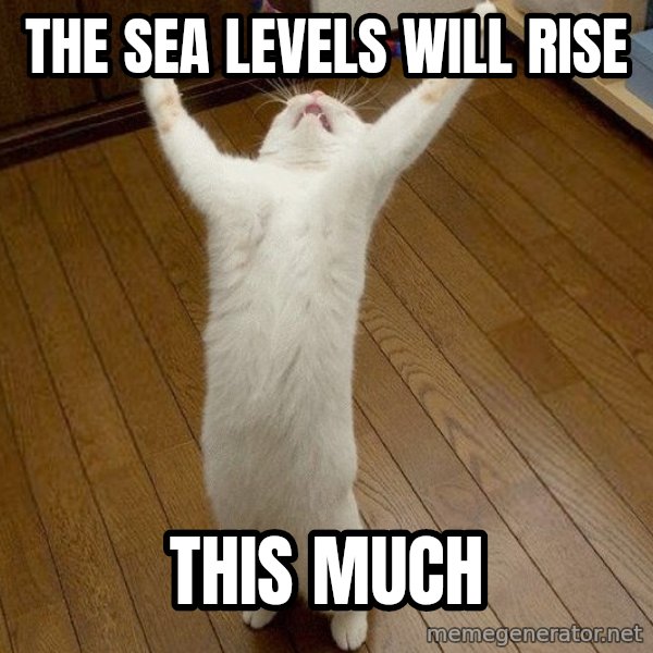 praise the lord cat meme: The sea levels will rise / This much