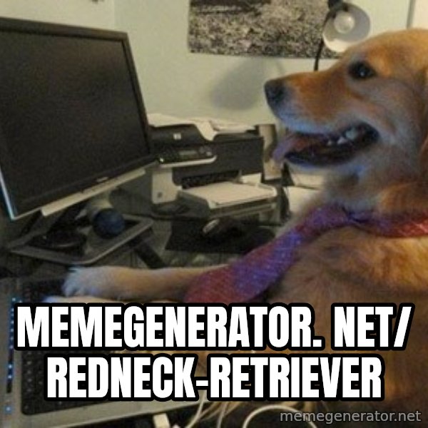 I have no idea what I'm doing - Dog with Tie meme: memegenerator. net/ Redneck-Retriever