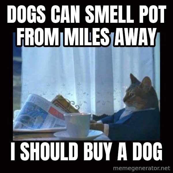 i should buy a boat cat meme: Dogs can smell pot from miles away / I should buy a dog