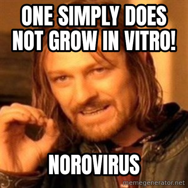 One Does Not Simply meme: One simply does not grow in vitro! / Norovirus