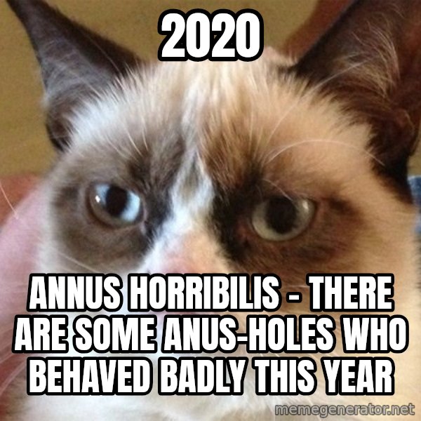 Angry Cat Meme meme: 2020 / Annus Horribilis - There are some Anus-Holes who behaved badly this year
