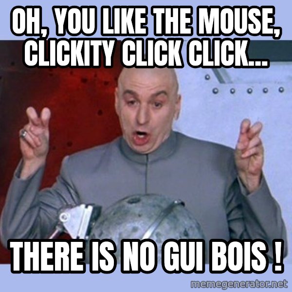 Dr Evil meme meme: Oh, you like the mouse, clickity click click... / There is NO GUI BOIS !