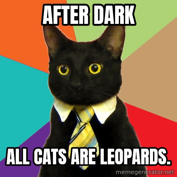 Business Cat meme: after dark / all cats are leopards.