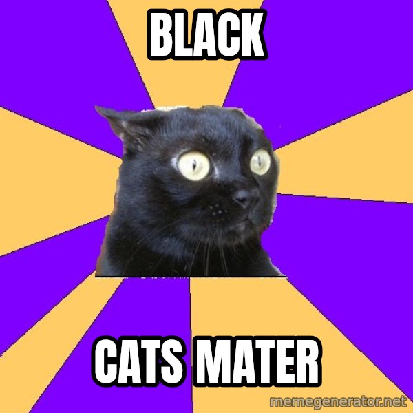 Anxiety Cat meme: black / cats mater
