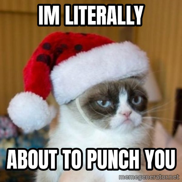Grumpy Cat Santa Hat meme: im literally / about to punch you