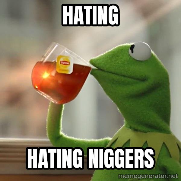Kermit The Frog Drinking Tea meme: Hating / Hating niggers