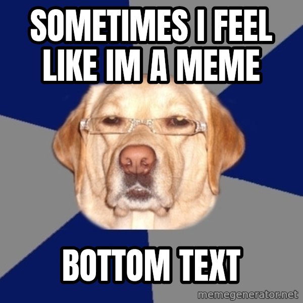 Racist Dog meme: sometimes i feel like im a meme / bottom text