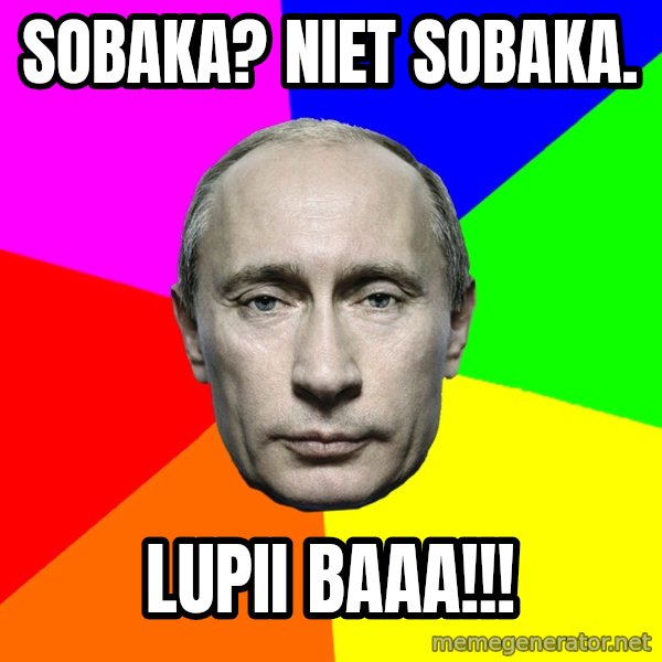 Putin Says meme: Sobaka? Niet sobaka. / Lupii baaa!!!