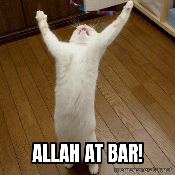 praise the lord cat meme: Allah at bar!