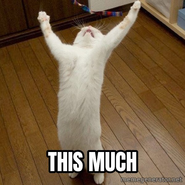 praise the lord cat meme: This much