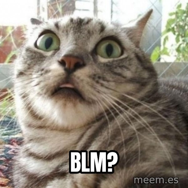 scared cat meme: BLM?