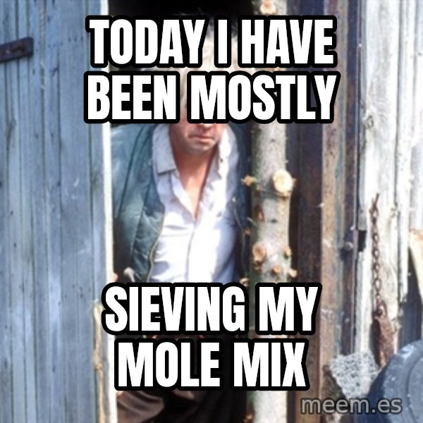 Jesse Fast Show meme: Today I have been mostly / Sieving my mole mix