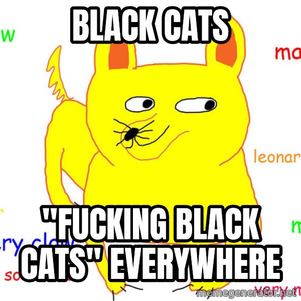 Grumpy Cat  meme: black cats / "fucking black cats" everywhere