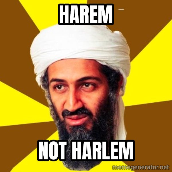 Osama meme: harem / not Harlem