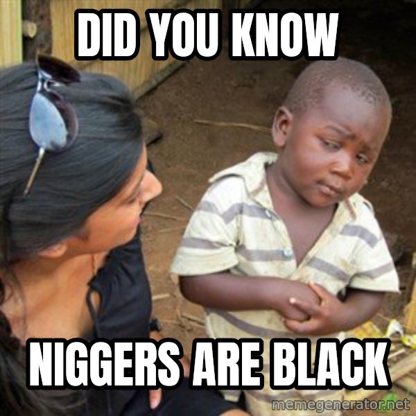 Skeptical 3rd World Kid meme: Did you know / Niggers are black