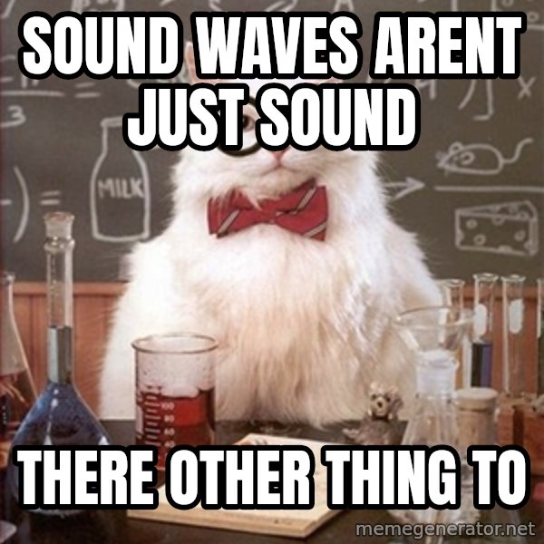 Science Cat meme: sound waves arent just sound / there other thing to