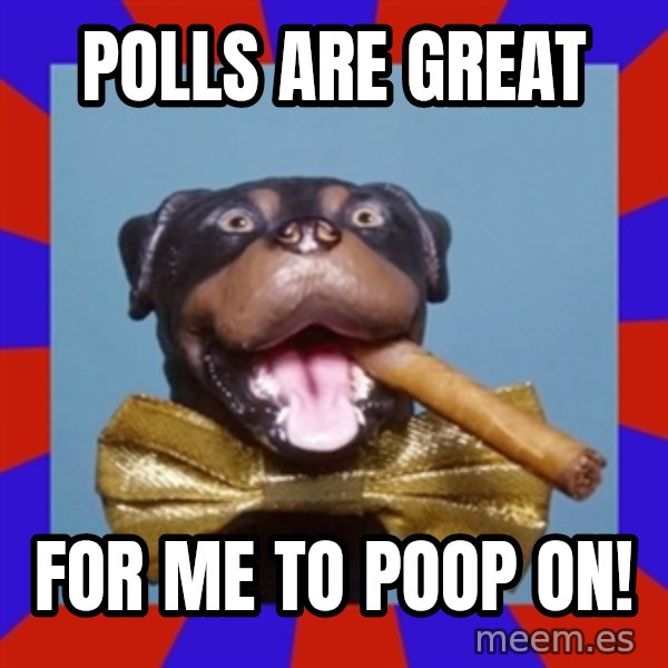 Triumph the Insult Comic Dog meme: Polls are great / FOR ME TO POOP ON!