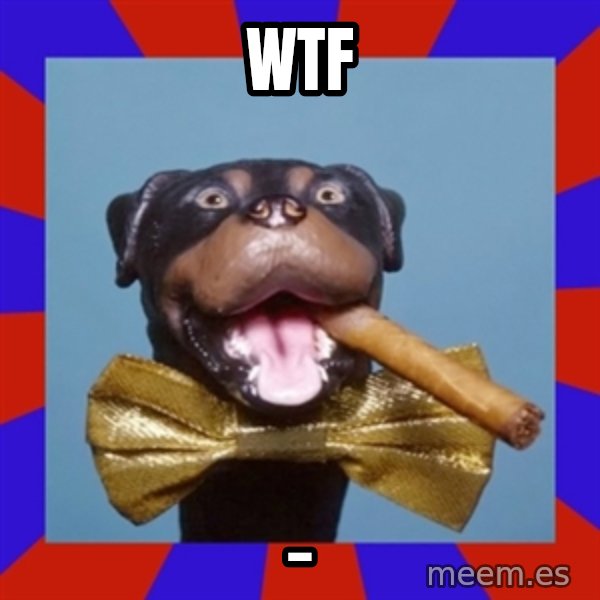 Triumph the Insult Comic Dog meme: WTF / _