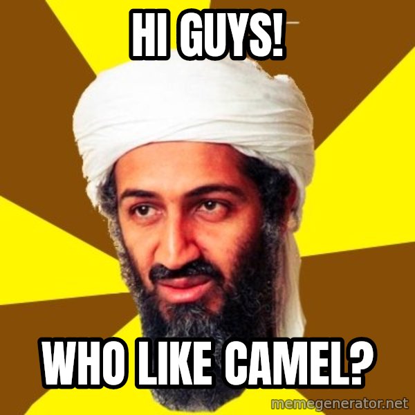 Osama meme: Hi guys! / Who like camel?