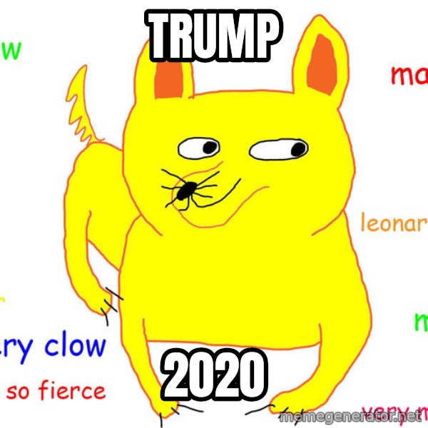 Grumpy Cat  meme: TRUMP / 2020