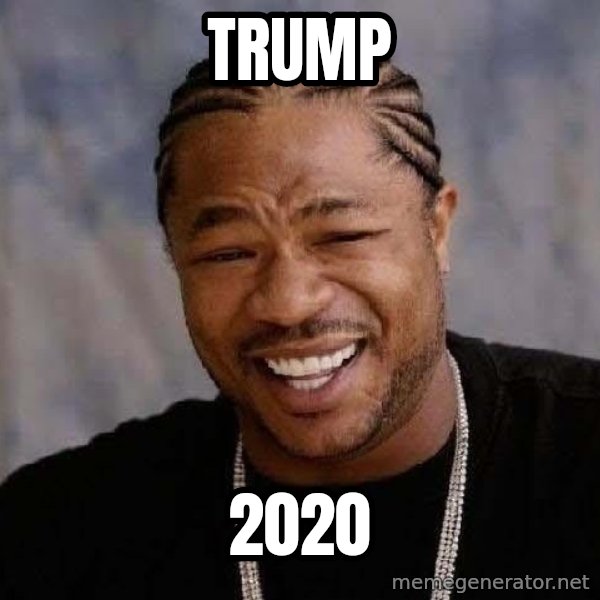 Yo Dawg meme: TRUMP / 2020