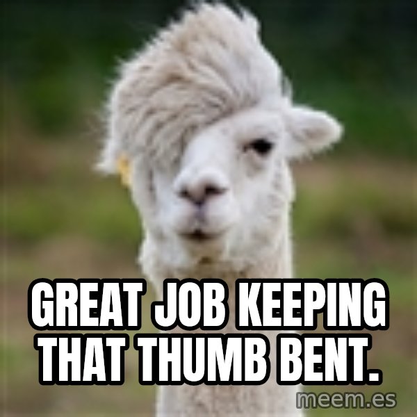 Hipster Llama meme: great job keeping that thumb bent.