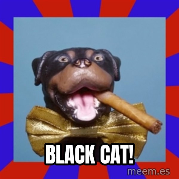 Triumph the Insult Comic Dog meme: Black cat!