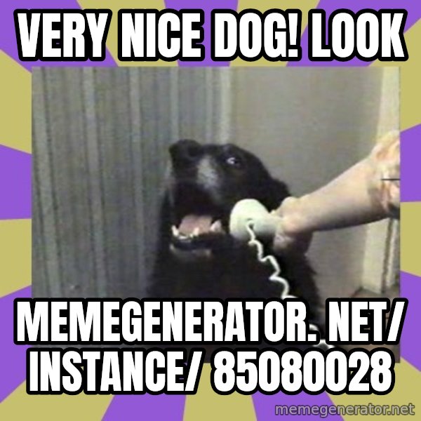 Yes, this is dog! meme: Very nice dog! Look / memegenerator. net/ instance/ 85080028