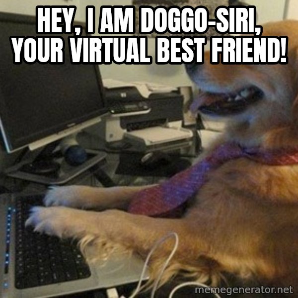 I have no idea what I'm doing - Dog with Tie meme: hey, i am doggo-siri, your virtual best friend!