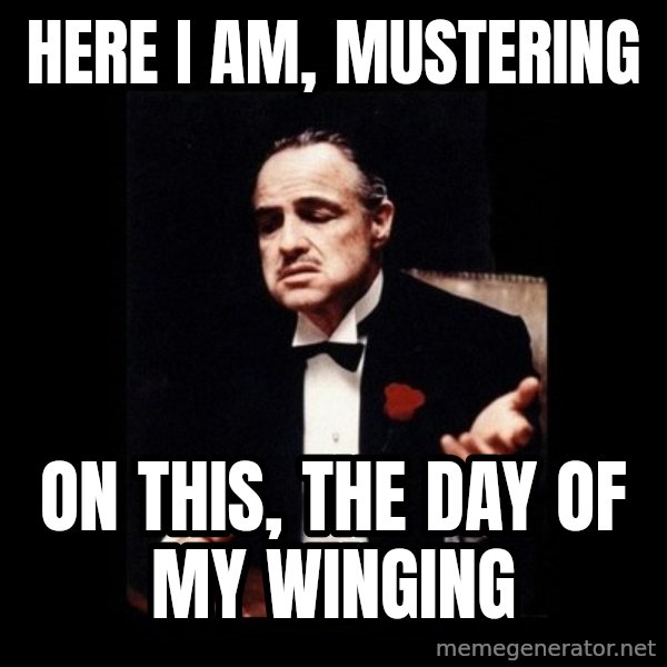 The Godfather meme: Here I am, Mustering / On this, the day of my Winging