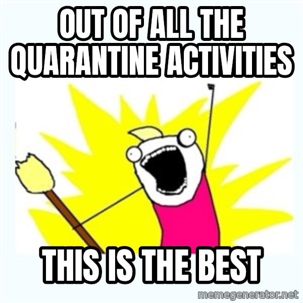 All the things meme: Out of all the quarantine activities / this is the best
