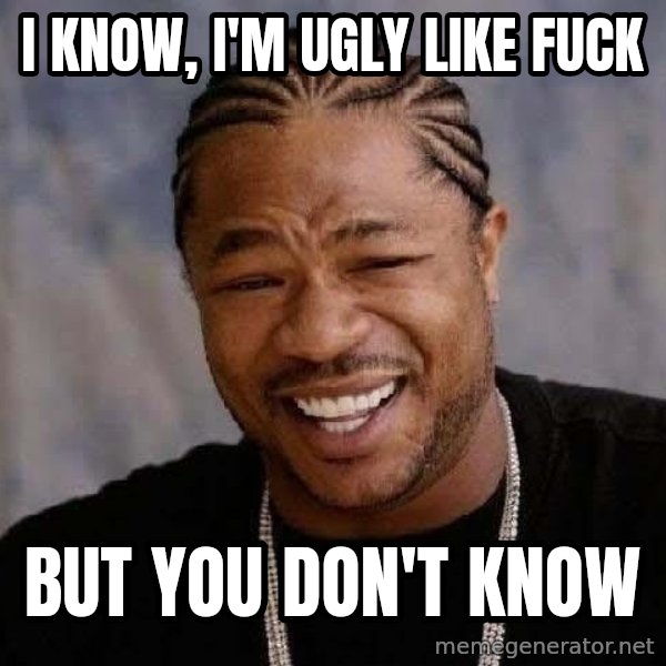 Yo Dawg meme: I know, I'm ugly like fuck / But you don't know