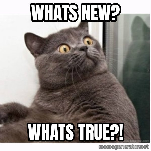 Conspiracy cat meme: Whats new? / Whats true?!