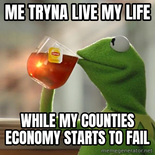 Kermit The Frog Drinking Tea meme: me tryna live my life / while my counties economy starts to fail