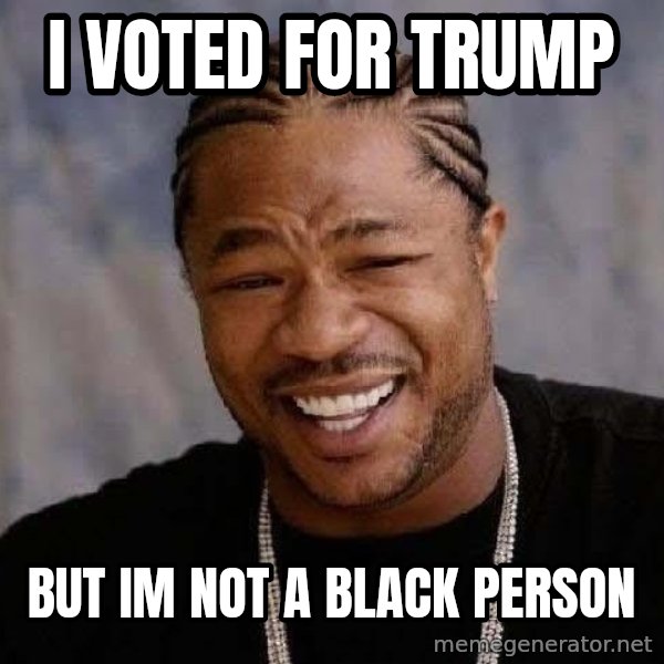 Yo Dawg meme: I voted for TRUMP / But im not a black person