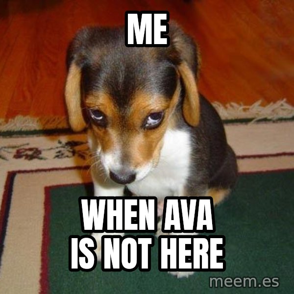 Sad Puppy meme: me / when AVA IS NOT HERE