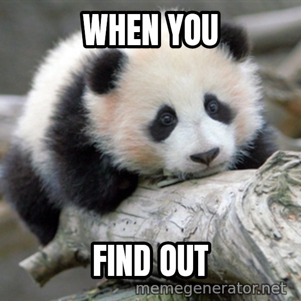 sad panda meme: when you / find out