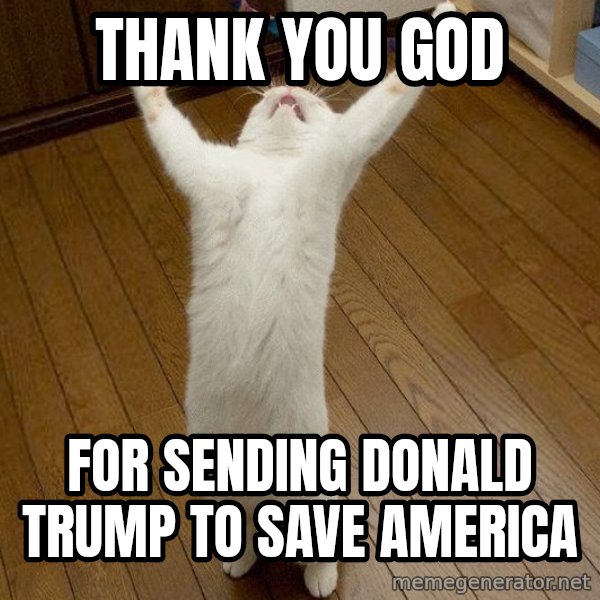 praise the lord cat meme: Thank you God / For Sending Donald Trump to Save America