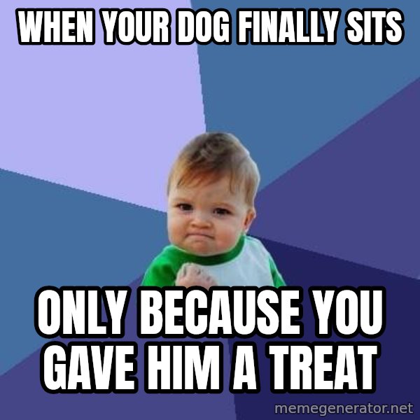 Success Kid meme: When your dog finally sits / Only because you gave him a treat