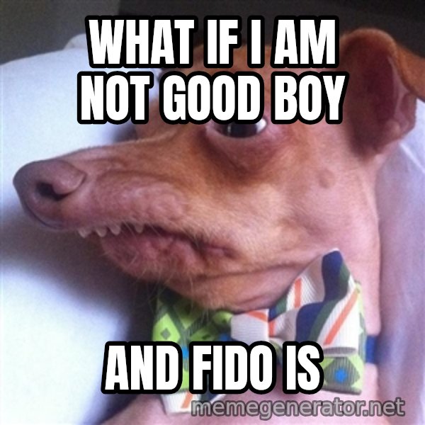 Tuna, the "Phteven" dog meme: What if I am not good boy / and fido is