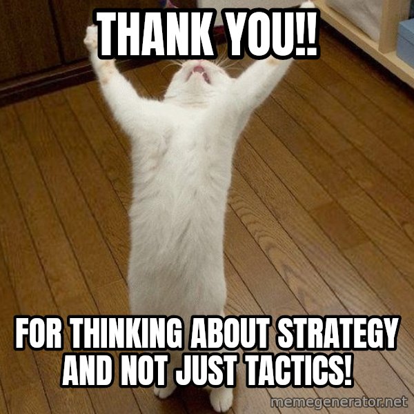 praise the lord cat meme: thank you!! / for thinking about strategy and not just tactics!